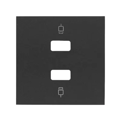 Накладка розетки 2xUSB 2.0 A+A, черный матовый, S100