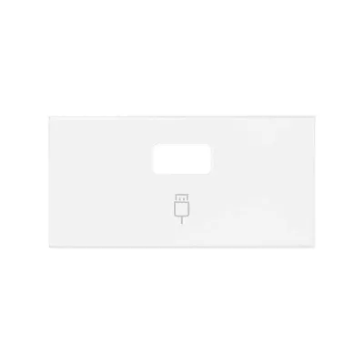 Накладка розетки USB 2.0 A, белый матовый, S100