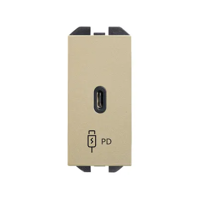 Механизм USB зарядного устр-ва, 1М, USB-C, PD, S270, шампань
