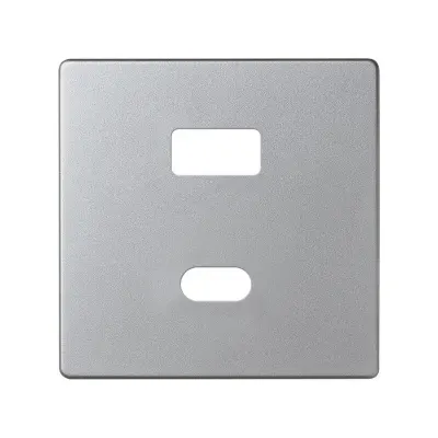 Накладка для заряд.устройства USB A+C, мат.алюминий, S82D