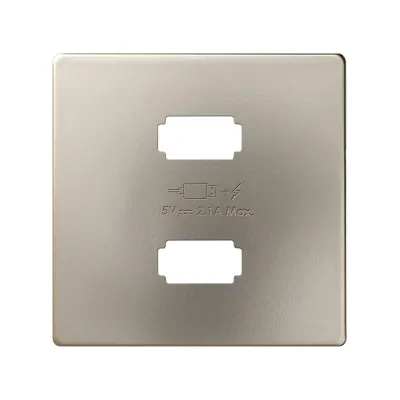 Накладка для заряд.устройства 2xUSB, шампань, S82