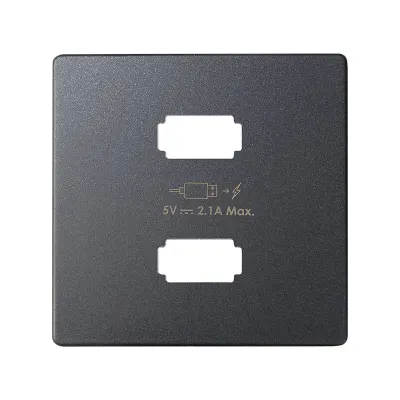 Накладка для заряд.устройства 2xUSB, графит, S82