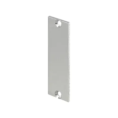 Заглушка торцевая для TM21061-8, алюминий, Connect